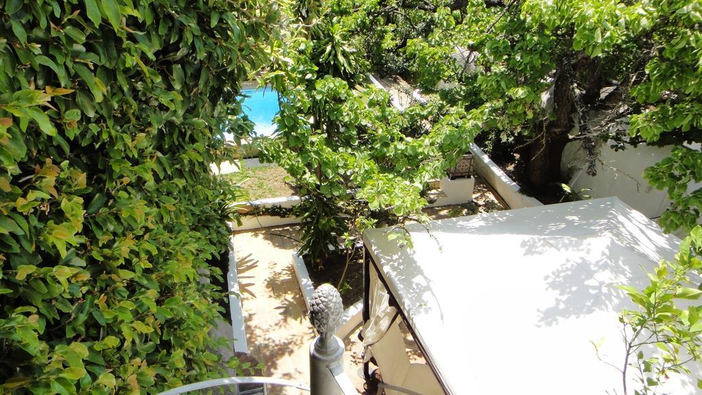 Guest house Casa Amarela *