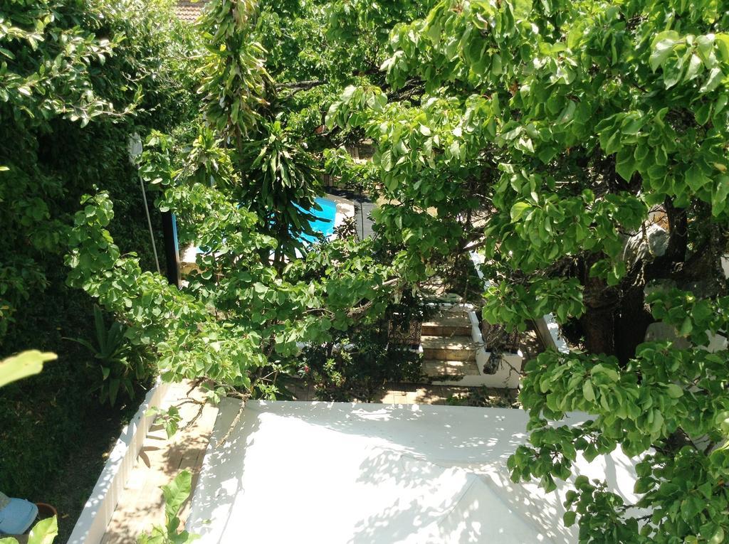 Casa Amarela