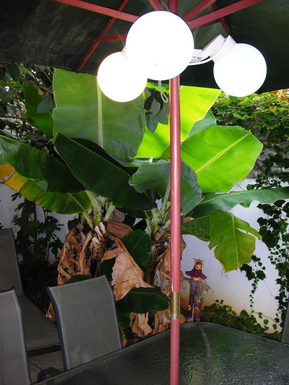Guest house Casa Amarela